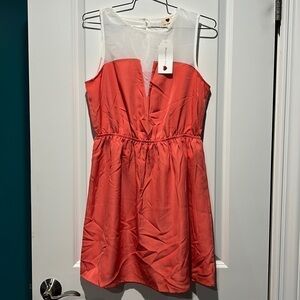ONE Clothing dress. Size medium. NWT.